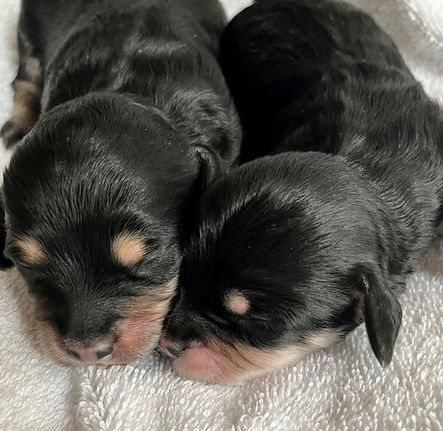 FullSizeRender (2).jpeg