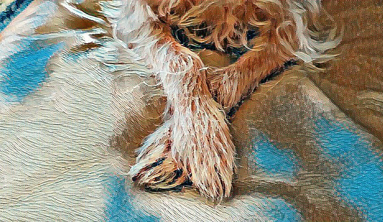 imageedit_13_2835121437.png
