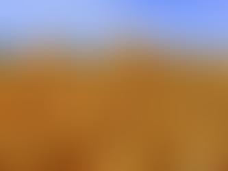 Contra el despilfarro de alimentos y el Objetivo Hambre Cero