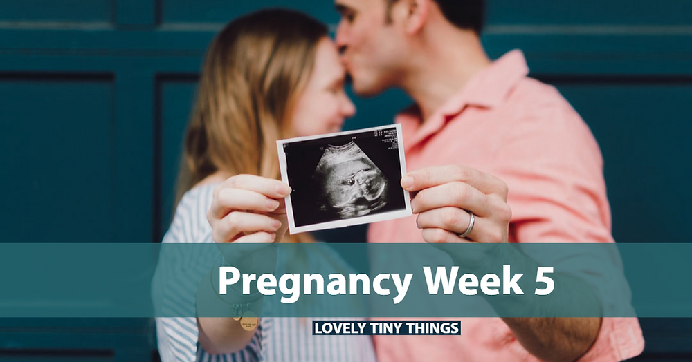 pregnancy-week-5