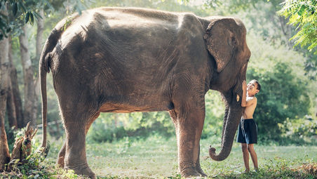How to inspire Kids to protect Wildlife?