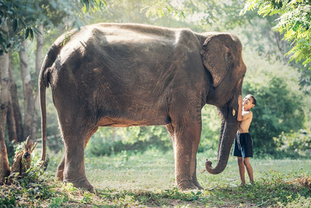 How to inspire Kids to protect Wildlife?