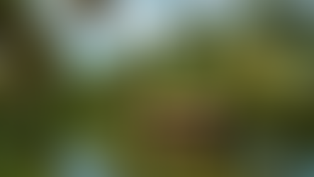 Exploring Kerala Backwaters & Beaches