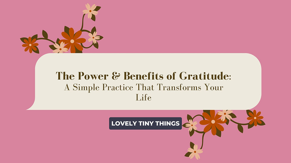 Pink background with floral designs, featuring text: "The Power & Benefits of Gratitude: A Simple Practice That Transforms Your Life." Mood is uplifting.