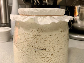 Maintaining Your Sourdough Starter