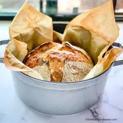 Sourdough Bread