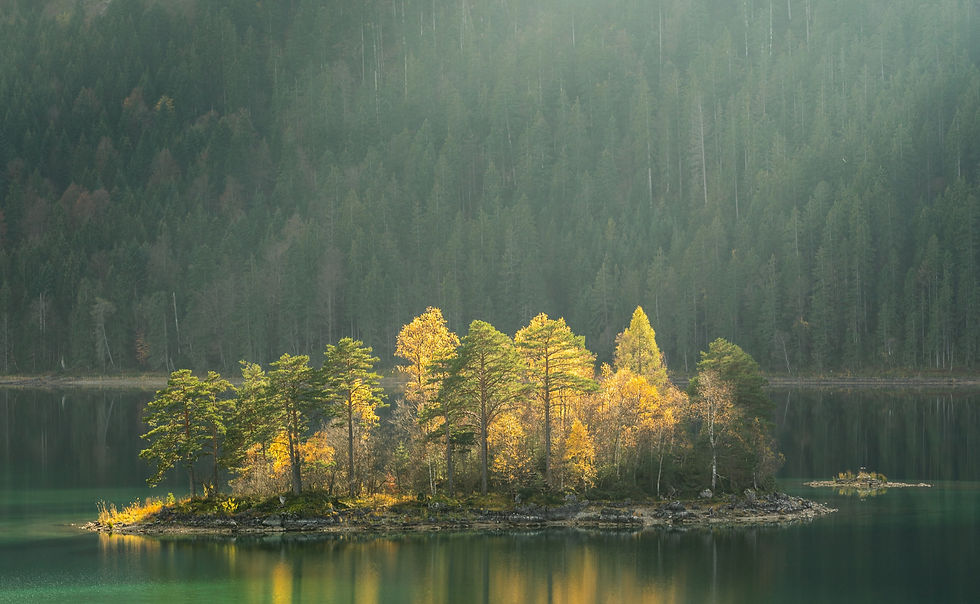 A green forest with a lake and small island. the sun is shining through the tree tops.