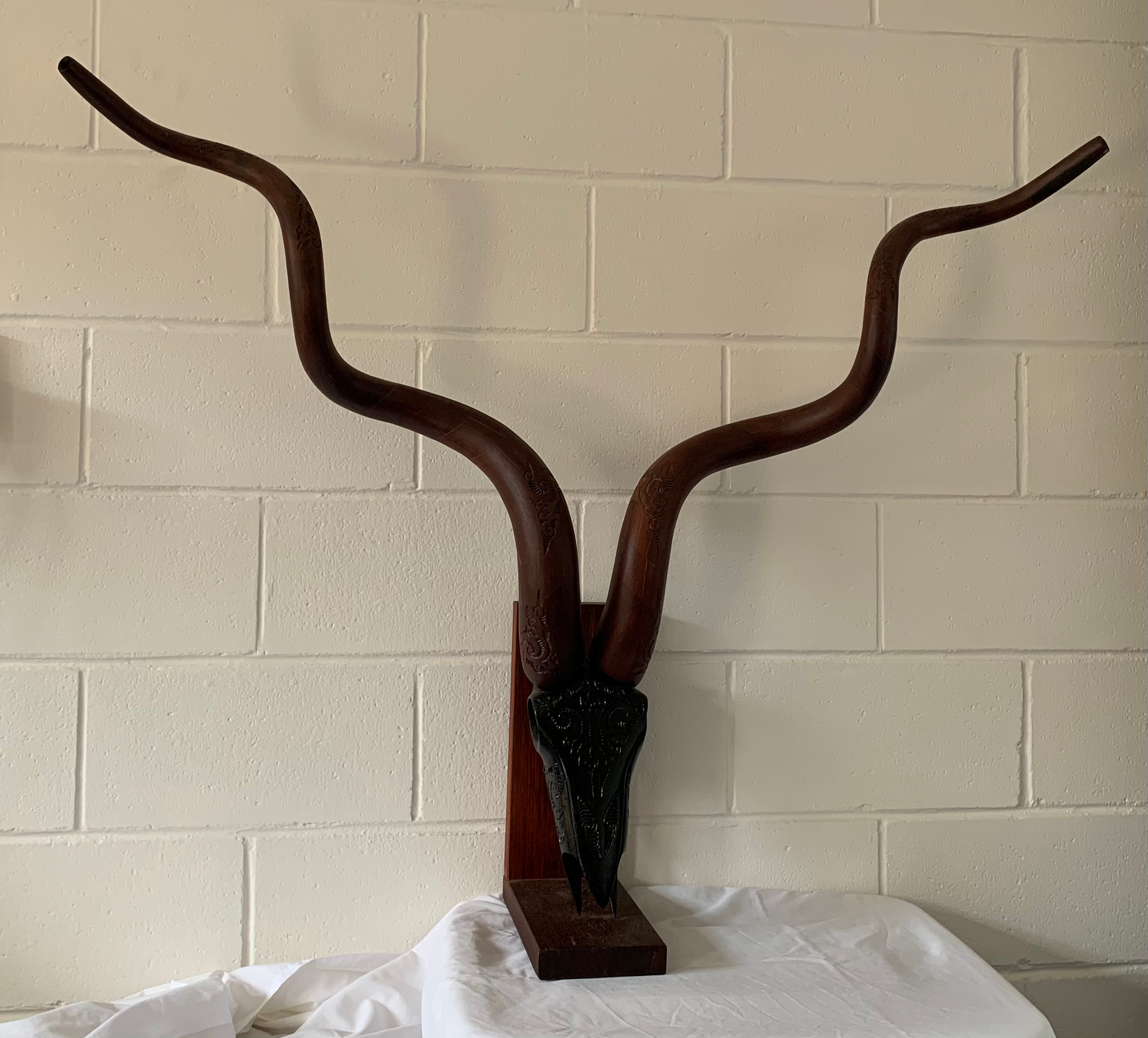 Skull (carved wood) and Jarrah Shofar X 2