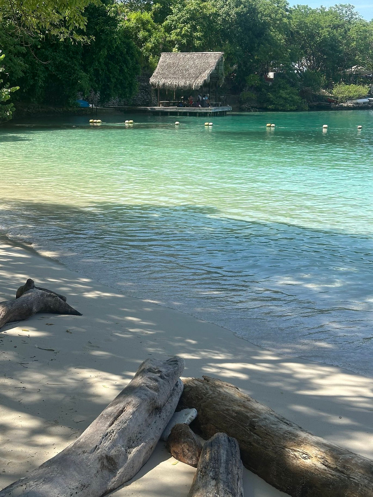 Isole del Rosario