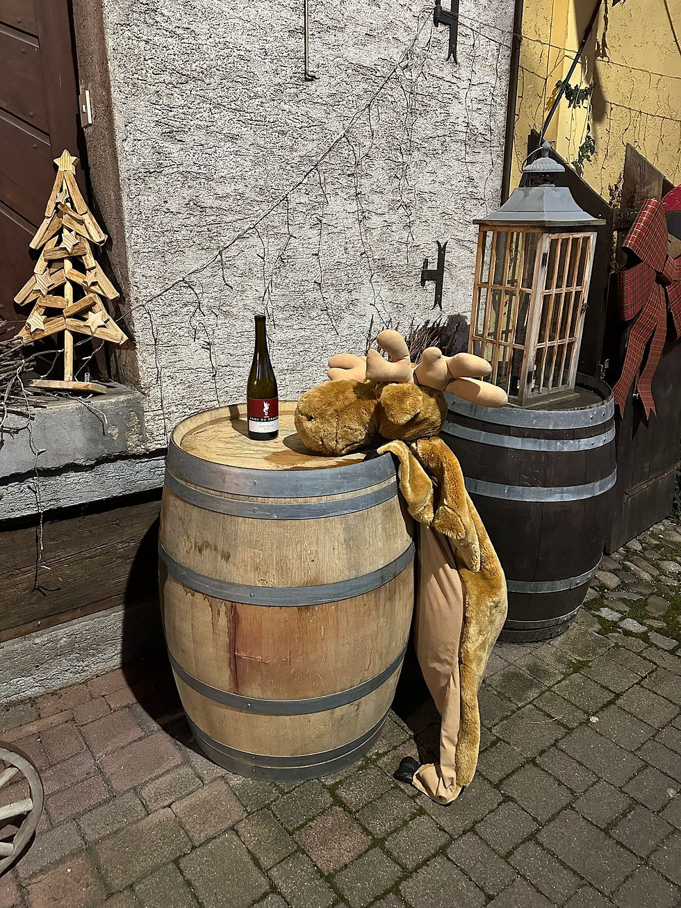 Eguisheim - Mercatino di natale - Alsazia