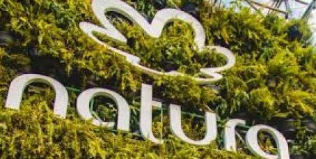 Natura no Topo: Quando Ética e Propósito Geram Sucesso!