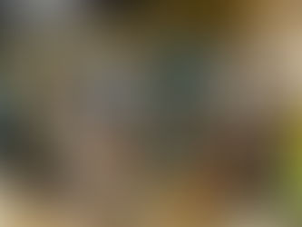 100 lojas físicas fechadas nos EUA!