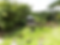 japanese house .png