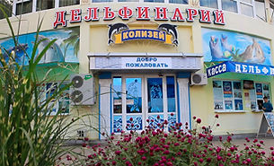 Лазаревское, дельфинарий Колизей, куда пойти в Лазаревком, куда пойти в Сочи, отдых в Сочи, отдых в Лазаревском, развлечения Сочи, развлечения Лазаревского, дельфин, плавание с дельфинами, фото с дельфином