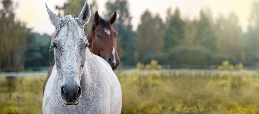 AdobeStock_461208906.jpeg
