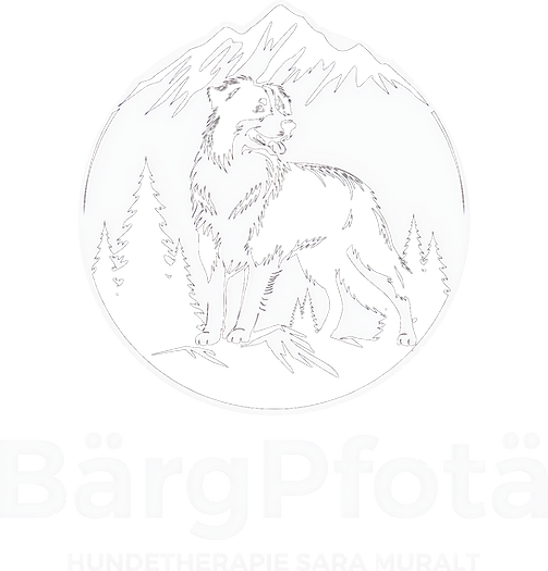 BärgPfotä logo B&W2 ( transparant )_edited_edited.png