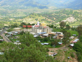Historia Flora y Fauna