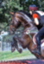 Worthy Opponent / Lavita