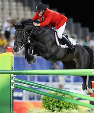 Horse_Zorro-big.jpg