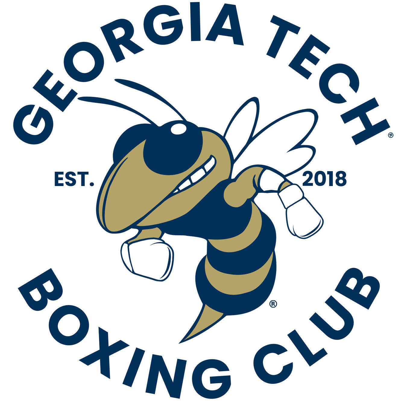 Tech Boxing Club Official Website!