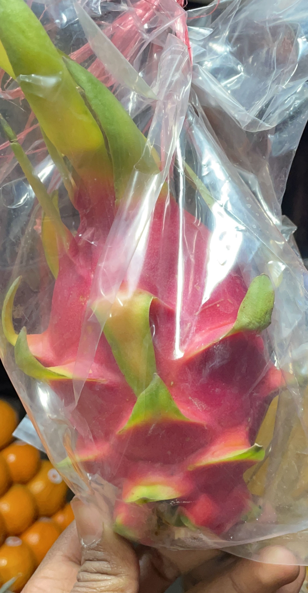 ड्रैगन फ्रूट  / Dragon fruit