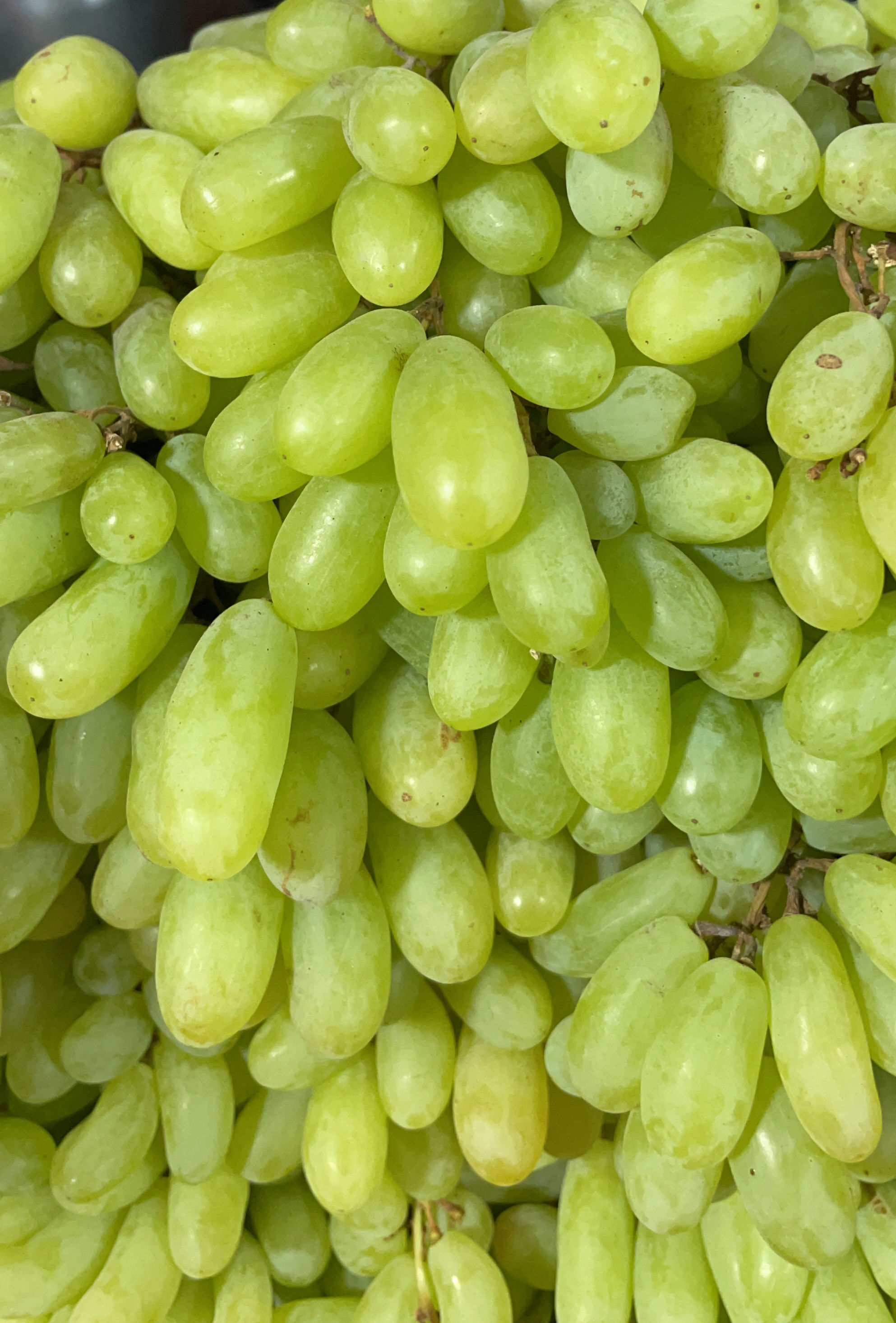 अंगूर / Angur ( Grapes )