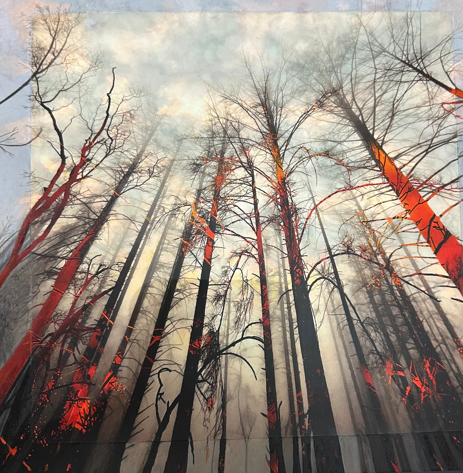 (SOLD) Sara Friedlander - Submerged, Ghost Trees Aflame