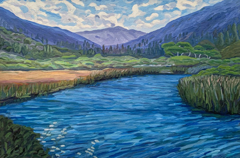 Kent Augason - Waddell Creek