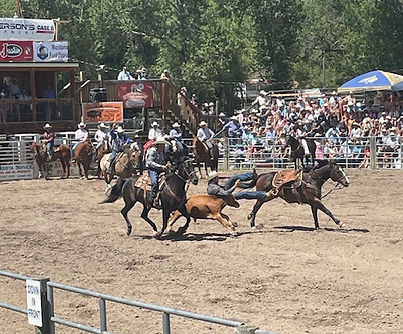Steer Wrestlers.jpeg