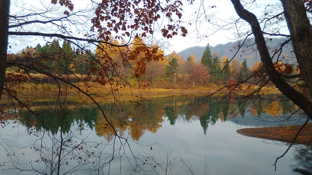 2015-11-07 08.21.07