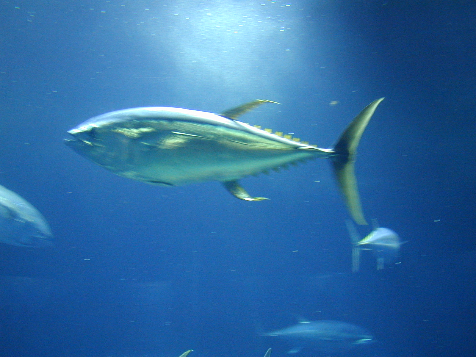 P9170021.JPG