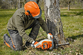 battery chainsaw.jpeg