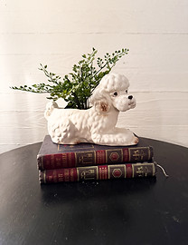poodle planter_edited.jpg