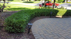 FB_IMG_1491262070179