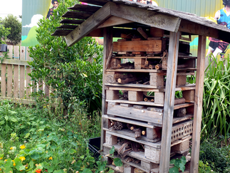 Creative Harvest 2019 - Eastern Park Community Garden
