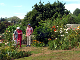 Creative Harvest - invitation to take part
