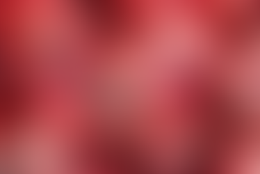 Mundo ultrapassa 60 milhões de casos da Covid-19