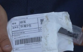 Sementes misteriosas: 47% das amostras analisadas apresentam risco às lavouras do país.