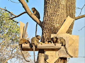 Nossa região é bela!