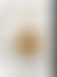 LIV'ERSÁRIO EM COMEMORAÇÃO AO ANIVERSÁRIO DE ÍNDIO CIRANDA.