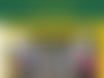 Steph's Cootamundra Connector - NOVEMBER 2024 (Issue #1)