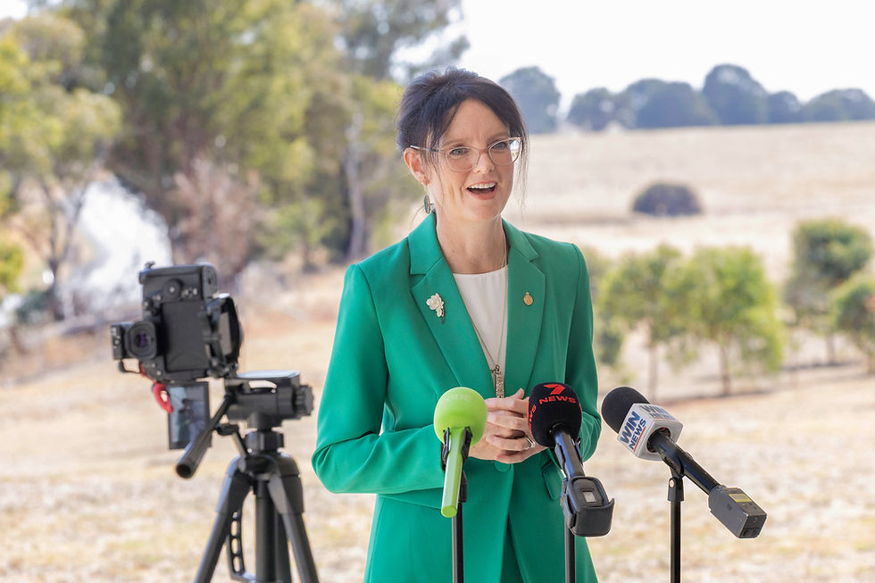 Steph Cooke MP addresses local media at 2026 Cootamundra Mayoral Summit.