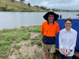 FISH DROP LIFTS STOCK NUMBERS IN BLAND