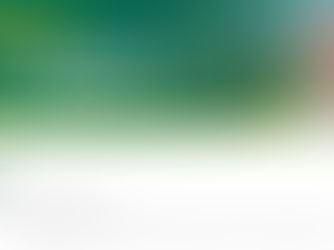 Steph Cooke MP - NEWSLETTER March 2020