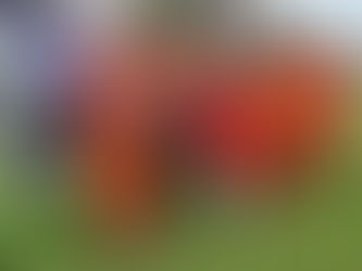 CELEBRATING OUR SES VOLUNTEERS THIS ‘WOW’ DAY