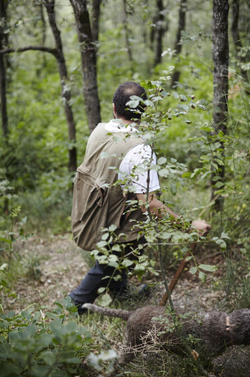 Capture d’écran 2015-08-14 à 19.54.35.png