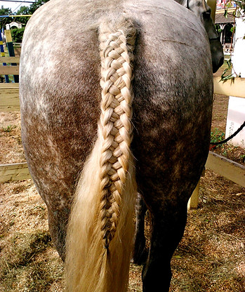Ren Fest 2013 (4).jpg