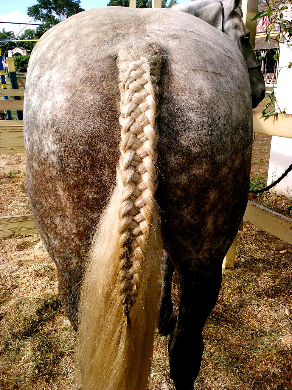 5 Strand Braid on Tail