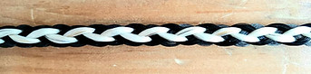 8 Strand Gaucho Braid.jpg