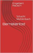 Bernsteinzimmer in Koblenz ? im Mühlenbach Schacht ???.